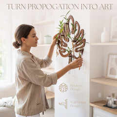 2Special All You Need hanging on living room wall showing space-saving display and decorative benefit