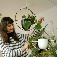 ABETREE ceiling-hung planter in use displaying trailing plant and visual appeal