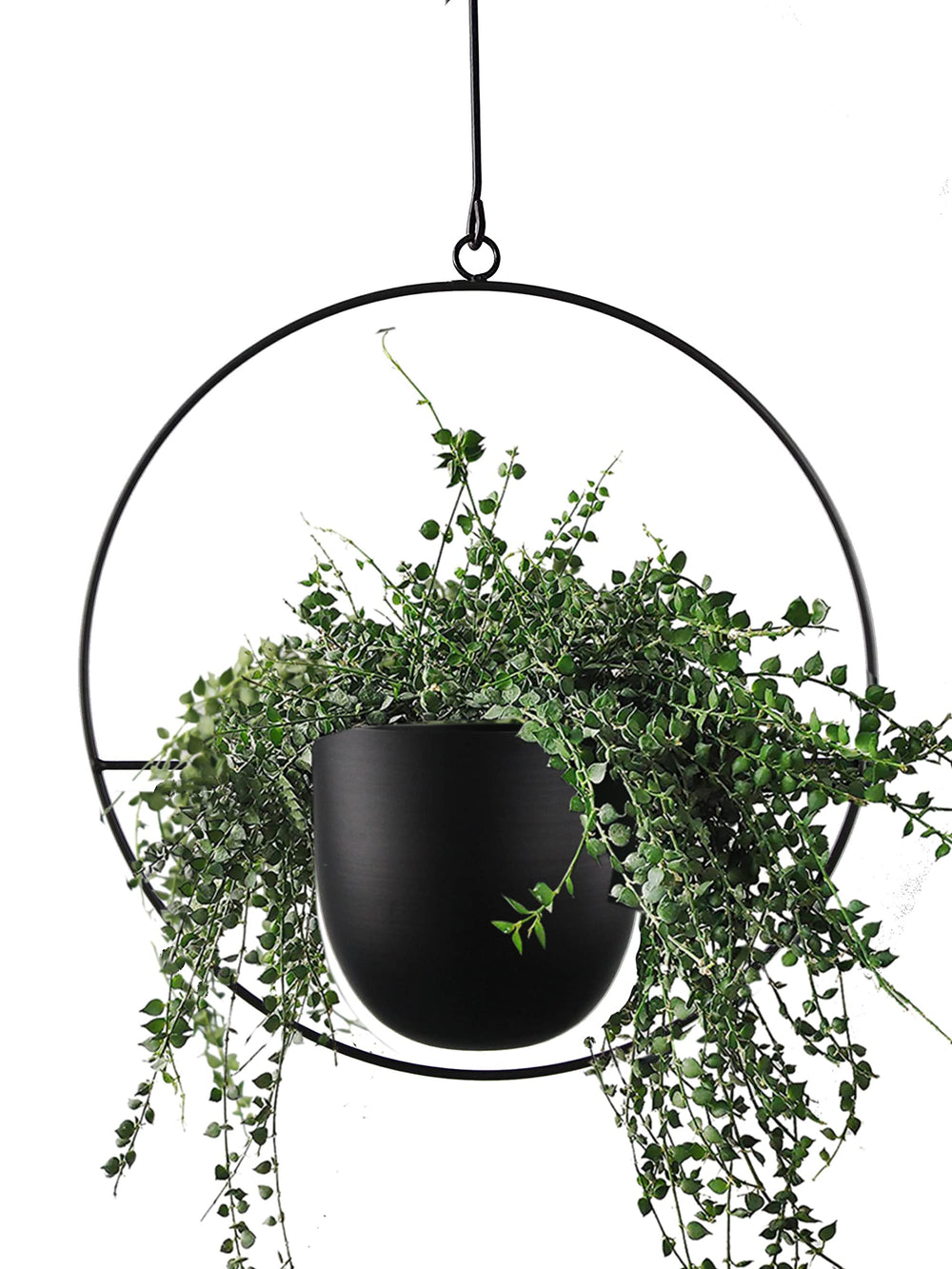 ABETREE front view hanging planter showing clean silhouette and modern look
