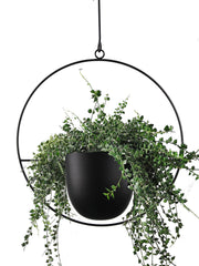 ABETREE front view hanging planter showing clean silhouette and modern look