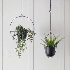 ABETREE wall-mounted planter holding pots to save floor space and brighten room