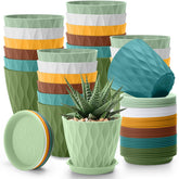 Acellegic front packaging showing 24 small colorful pots and saucers, neat bulk storage