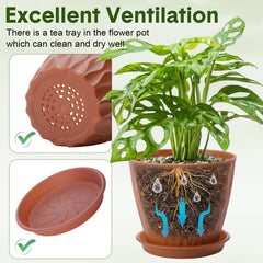 Acellegic grouped pots on windowsill with succulents, improves small-space greenery