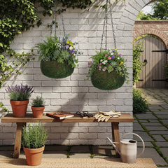 Acellegic planter holding an orchid showing improved display and airflow