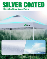 Acepic canopy in use at a picnic showing portable shelter benefit