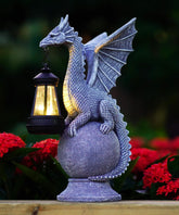 Acgarten dragon front view showing detailed sculpting and garden curb appeal