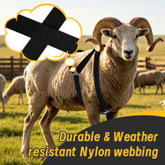 Achicklead adjustable buckles detail for reliable fastening and comfort