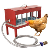 Achicklead front view showing stable elevated water bowl and durability