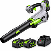 Adedad front view of blower showing compact design and quick-start benefit