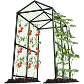 AIMUCT arch front view showing full black trellis and walk-through benefit