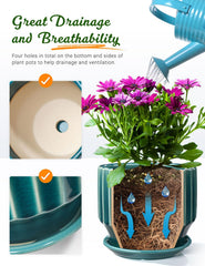 AISBUGUR saucer and drainage net included for tidy watering and soil retention