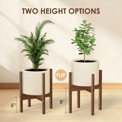 ALIGADO stand holding ceramic pot demonstrating sturdy plant display