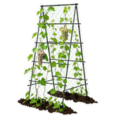 AlisisFores front view of A-shape trellis showing stable garden support