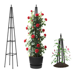 AlisisFores obelisk front view showing sturdy black frame and vertical support benefit