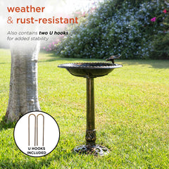 Alpine Corporation top-down basin view showing shallow wide bowl