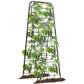 Alxcellion front view of A-frame trellis showing sturdy support and neat grid