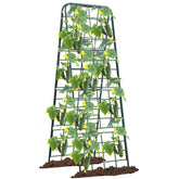 Alxcellion trellis front view showing full A-frame and green powder coat for durable support