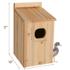 Amcortn duck house entrance close-up with 3x4 inch opening that balances access and shelter