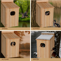 Amcortn duck house interior detail displaying dry cavity and nesting space for eggs and brood