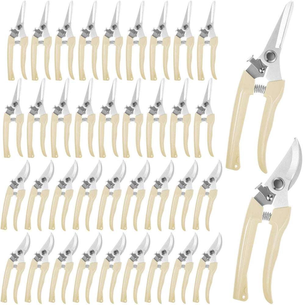 Amylove front packaging showing full 24-piece pruning set and benefits
