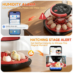 ANIERY app streaming live hatch video to smartphone for instant alerts