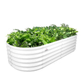A ANLEOLIFE front view of oval raised garden bed showing neat planting area and benefit of organization