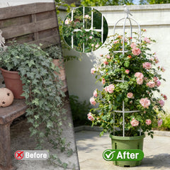 Anothera trellis in a large pot styling a patio and maximizing vertical planting benefit