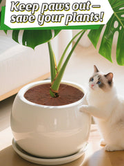 ANPHSIN grid cover protecting pot from a curious pet preventing digging