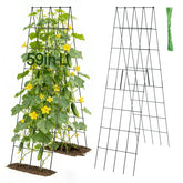 ANPHSIN front view of full trellis set showing components and packaging benefit durability