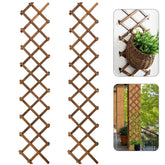 ANPHSIN trellis front packaging showing two stacked panels and brand