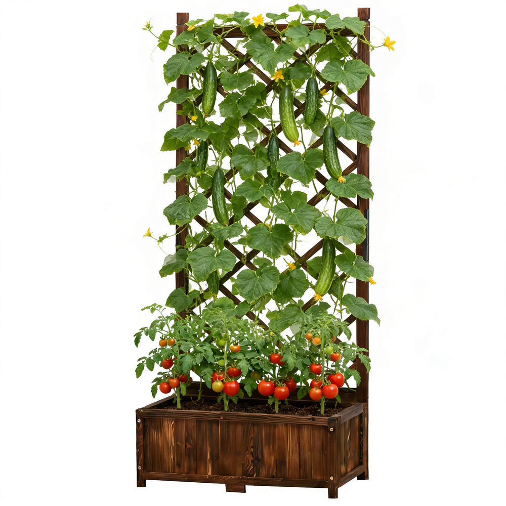 Anraja front view of planter and trellis showing vertical planting benefit