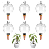 Ansberta front view of six watering globes showing kit and covers for easy refill benefit