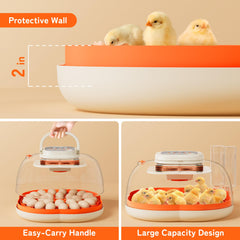 APDOE interior tray and high protective walls for safe chick movement
