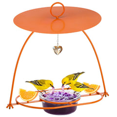 Apipi orange feeder front view showing bowl and rain guard, attracts orioles
