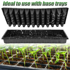 Apipi tray in use with seedlings illustrating efficient germination space