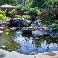 Aquascape label and directions view for safe correct dosing benefit