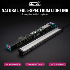 Arcadia Jungle Dawn link cable connection illustrating easy multi-unit setup