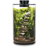 AREPK front view of glass terrarium showing full bottle and light, ideal for display