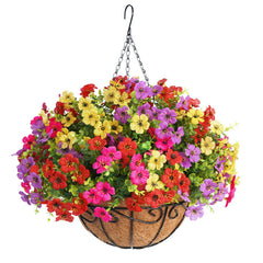 Arlinya front view of mixed-color hanging basket showing full, vibrant display