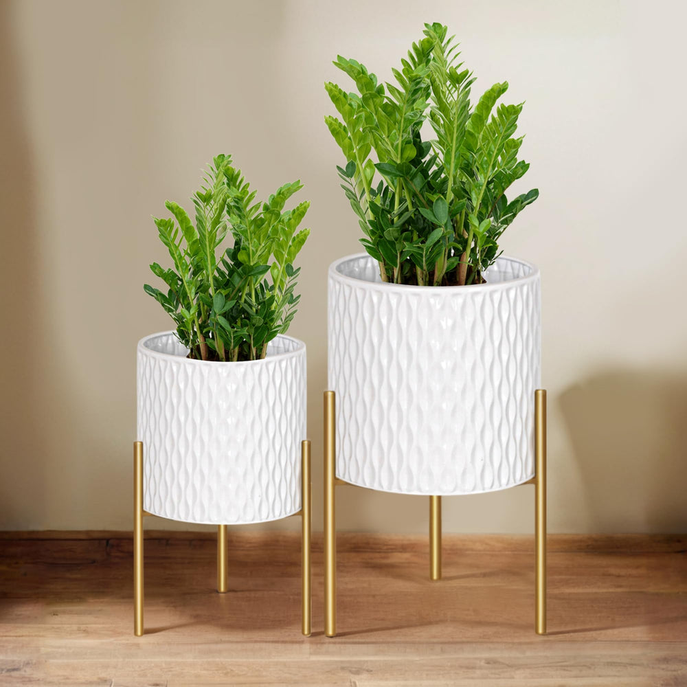 ARNIS front view showing white pot and gold stand, elevates plant display