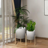 ARNIS front view of the two grey-white pots showing modern style and elegance