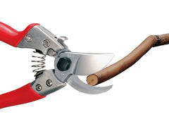 ARS pruner next to a hand for scale showing 7-inch size tailored to smaller hands