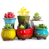 ARTKETTY front view showing six unique planter shapes and modern look
