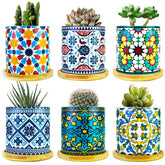 Ascrafter front view six-pack showing multicolor mandala pots and neat display benefit