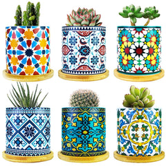 Ascrafter front view six-pack showing multicolor mandala pots and neat display benefit