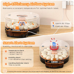 AsFrost transparent dome revealing embryo development for easy observation