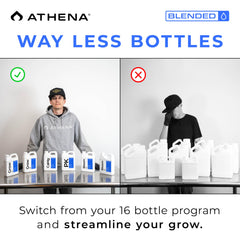 Athena solution in hydro reservoir showing clean lines and clog-free irrigation benefit