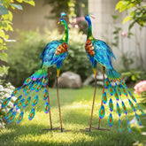 Autodaya peacock front view showing height and elegant silhouette benefit: instant garden focal point