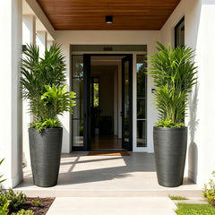 AUTO DAYA side profile showing tapered shape that improves water flow
