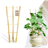 Avalution front view of ten bamboo trellises showing compact packaging and natural finish benefit